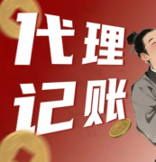 般纳税人/记账报税/乱账整理/财务咨询/